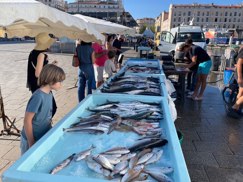 マルセイユの魚市場